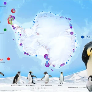 0580-Habitat-de-los-pinguinos-en-la-Antartida-2023-1536x1118-1