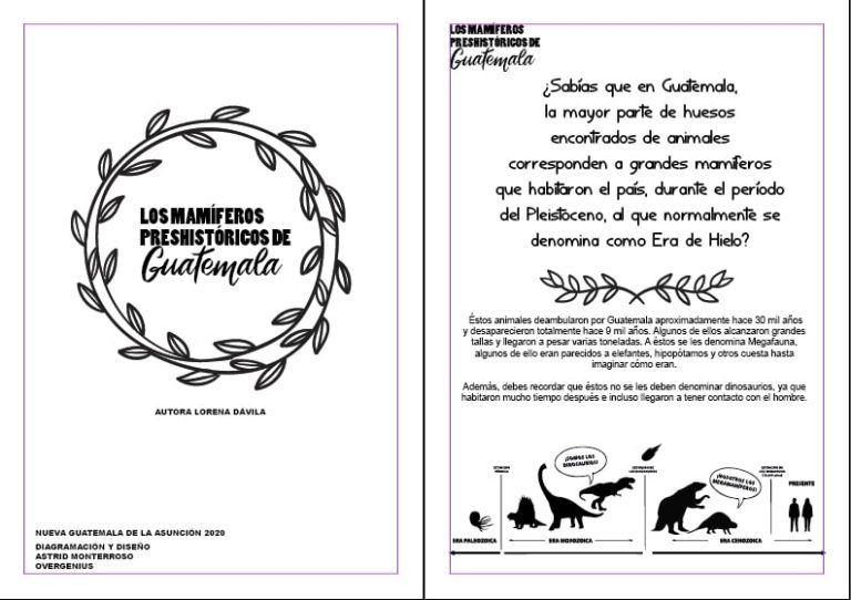 libro-lorena-min-768x542