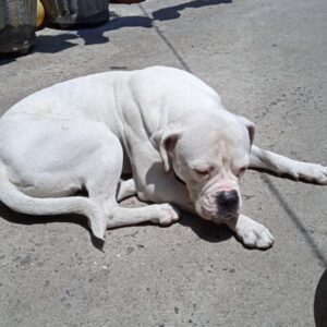 WhatsApp-Image-2024-05-29-at-11.18.49-AM