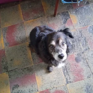 WhatsApp-Image-2024-05-29-at-11.24.47-AM-jpeg