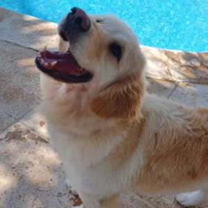 WhatsApp-Image-2024-05-29-at-11.53.38-AM-jpeg