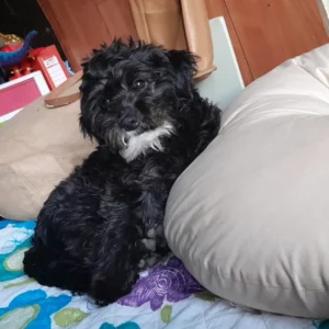 WhatsApp-Image-2024-05-29-at-12.03.08-PM-jpeg