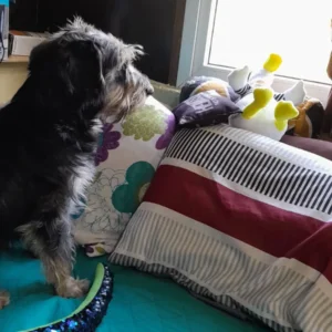 WhatsApp-Image-2024-05-29-at-12.03.09-PM-jpeg