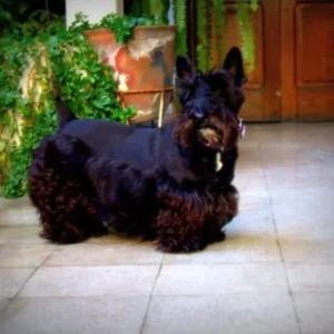 WhatsApp-Image-2024-05-29-at-12.31.46-PM-jpeg